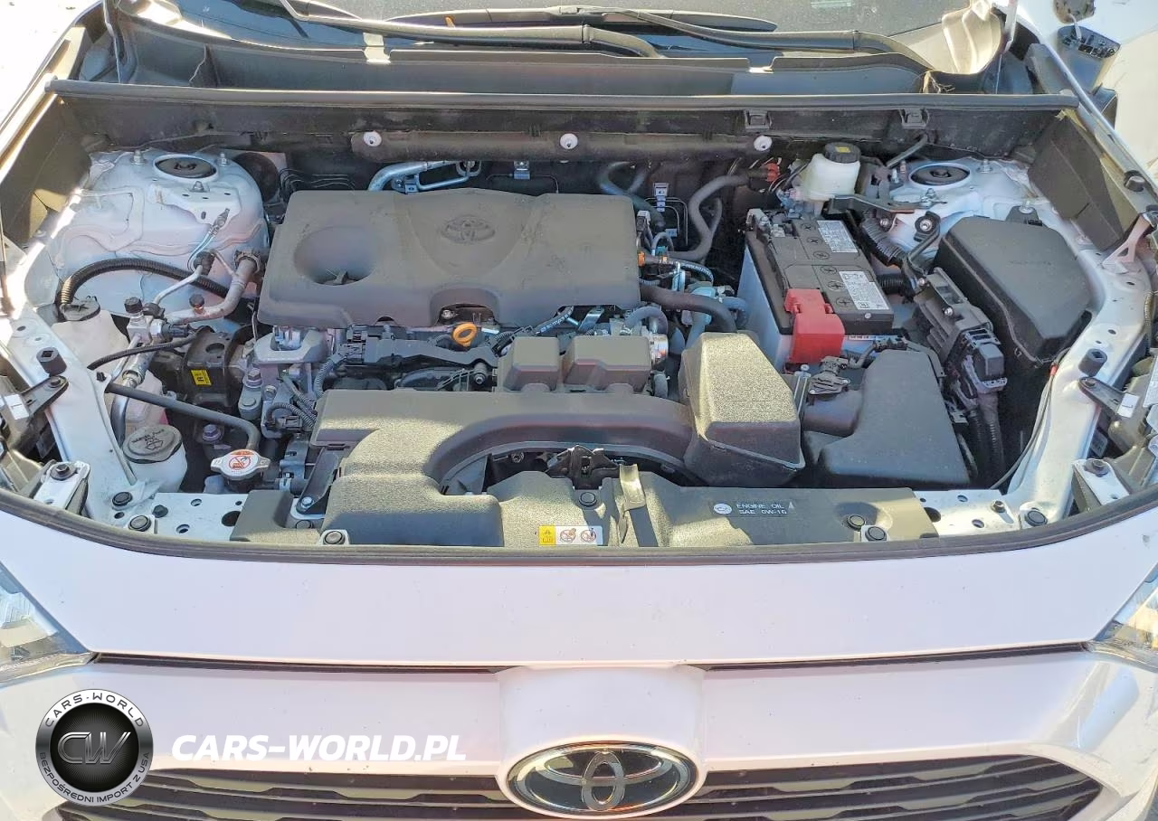 2025 Toyota Rav4 Xle Premium VIN:2T3C1RFV3SW384680 - 12
