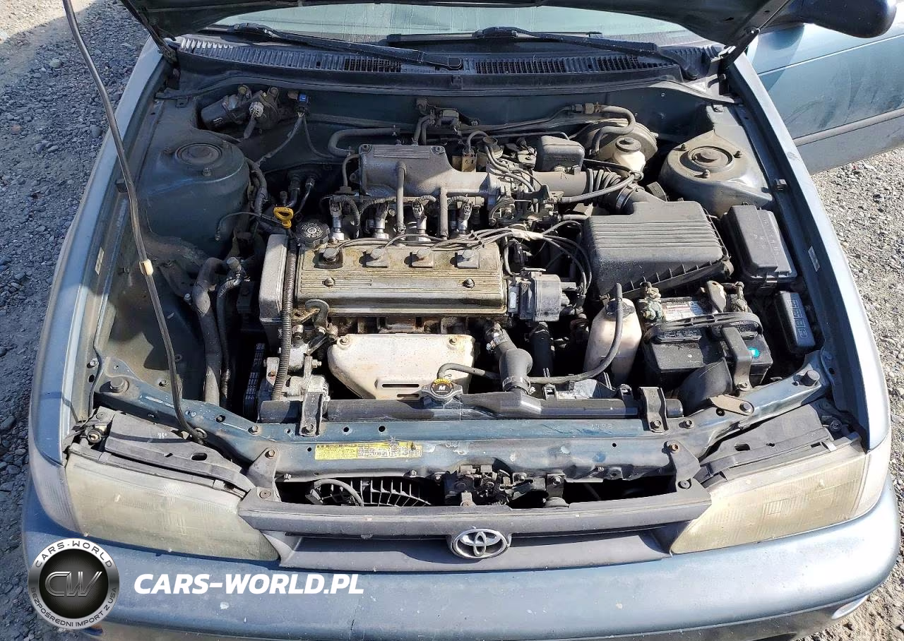 1995 Toyota Corolla Dx VIN:1NXAE09B3SZ283236 - 11