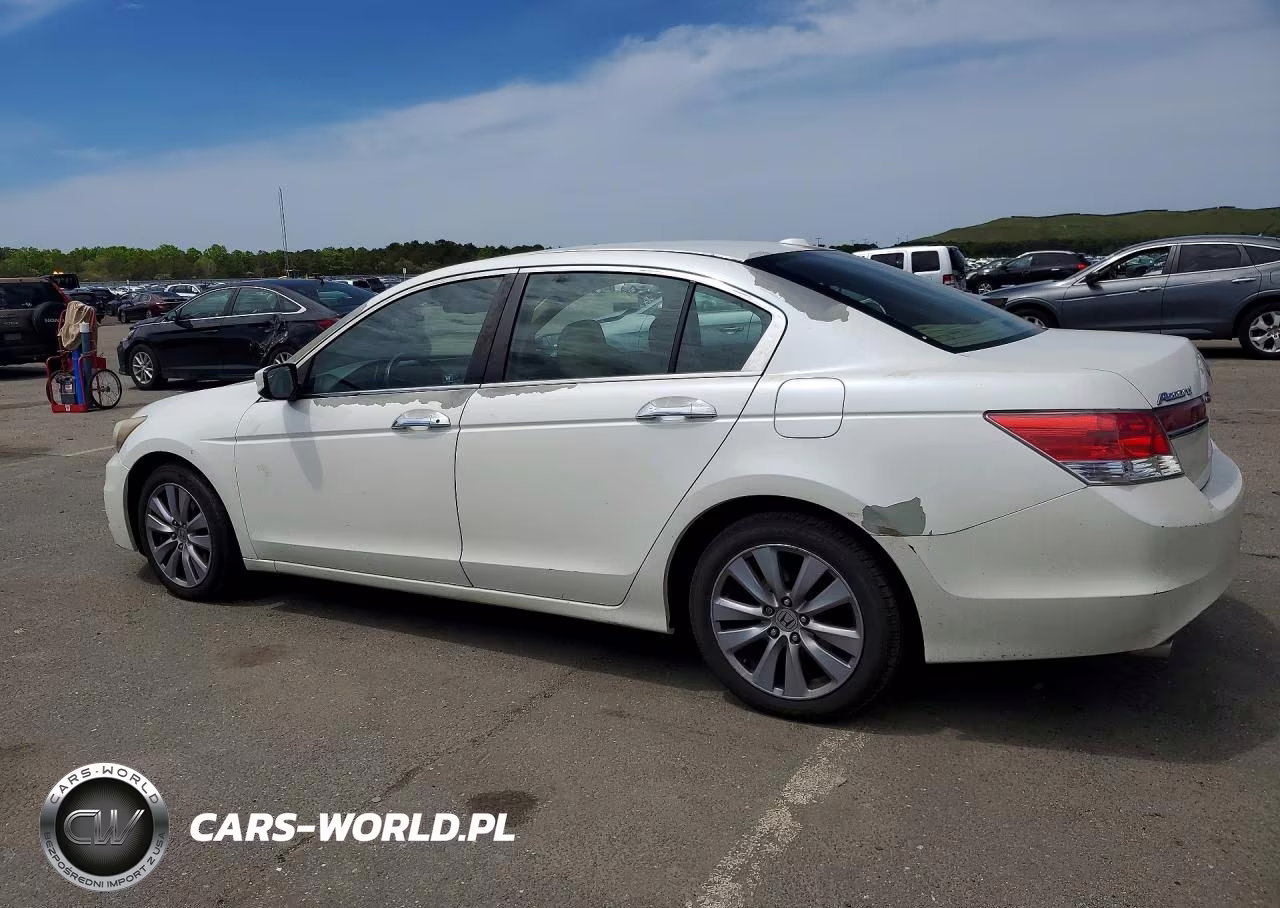 2011 Honda Accord Exl VIN:5KBCP3F86BB004499 - 2