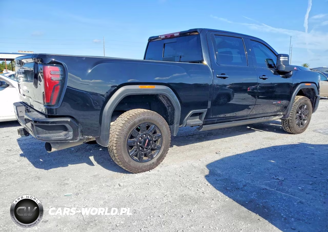 2024 GMC Sierra K2500 At4 VIN:1GT19PEY4RF446163 - 3