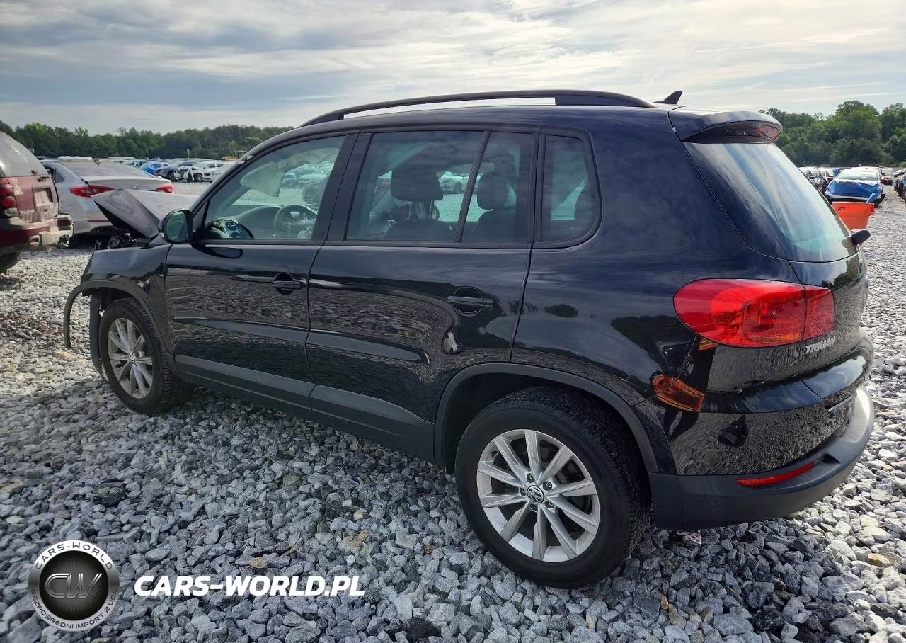 2015 Volkswagen Tiguan S VIN:WVGAV7AX8FW501214 - 2