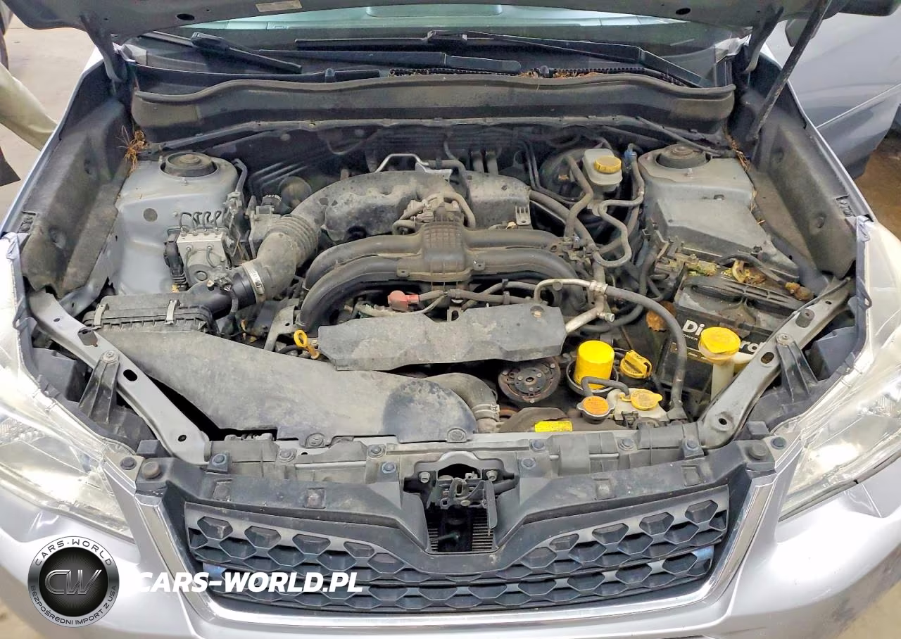 2014 Subaru Forester 2.5I VIN:JF2SJAAC6EH452517 - 12