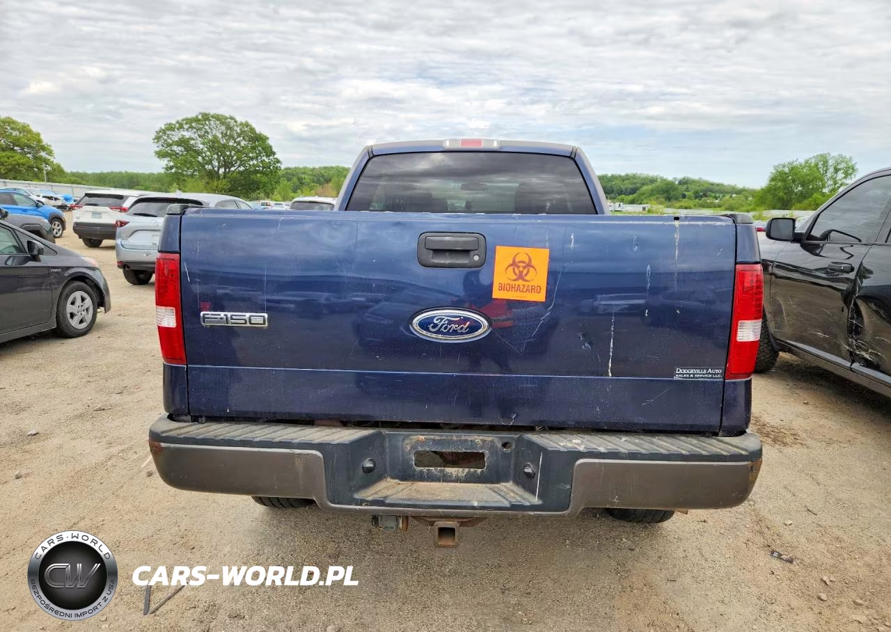 2004 Ford F150 VIN:1FTPX14514NC18382 - 6