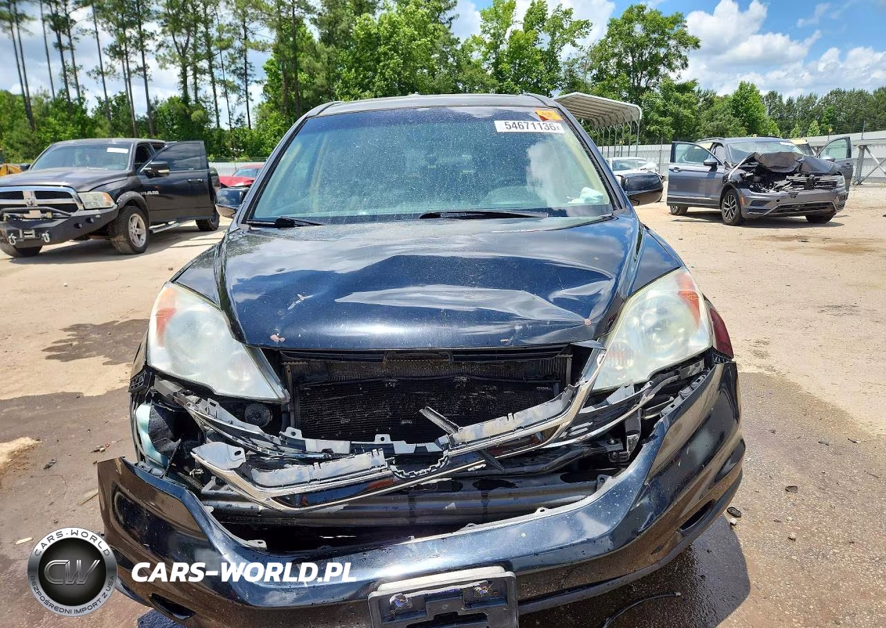 2010 Honda Cr-V Exl VIN:5J6RE4H76AL009233 - 5