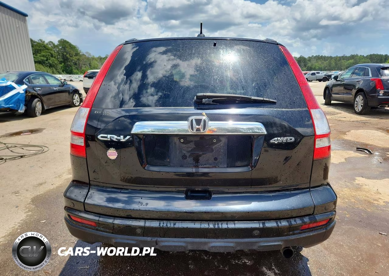 2010 Honda Cr-V Exl VIN:5J6RE4H76AL009233 - 6
