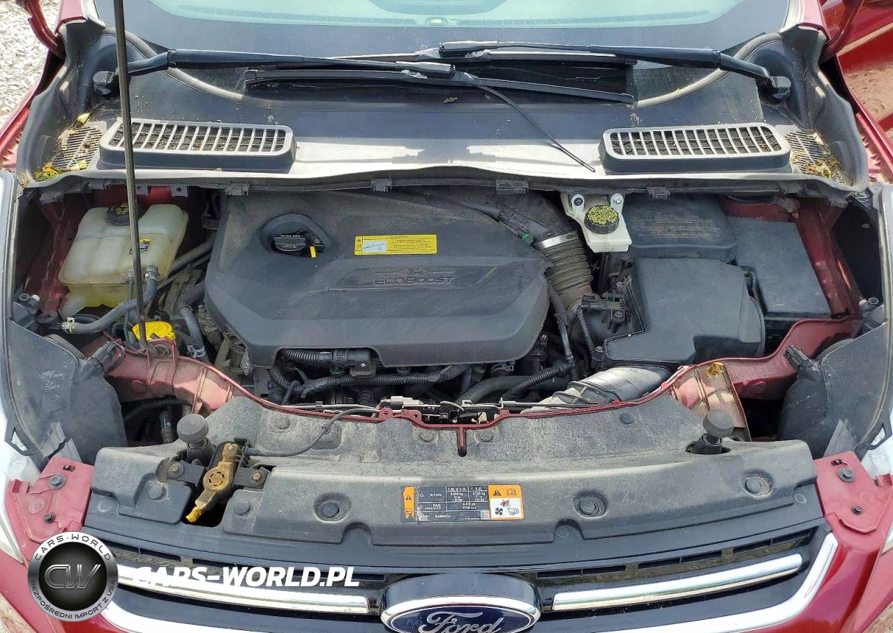 2013 Ford Escape Sel VIN:1FMCU9HXXDUC58141 - 12