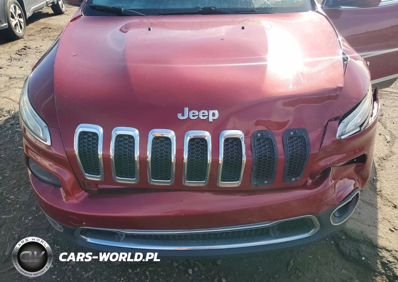 2014 Jeep Cherokee Limited VIN:1C4PJMDS3EW290608 - 12