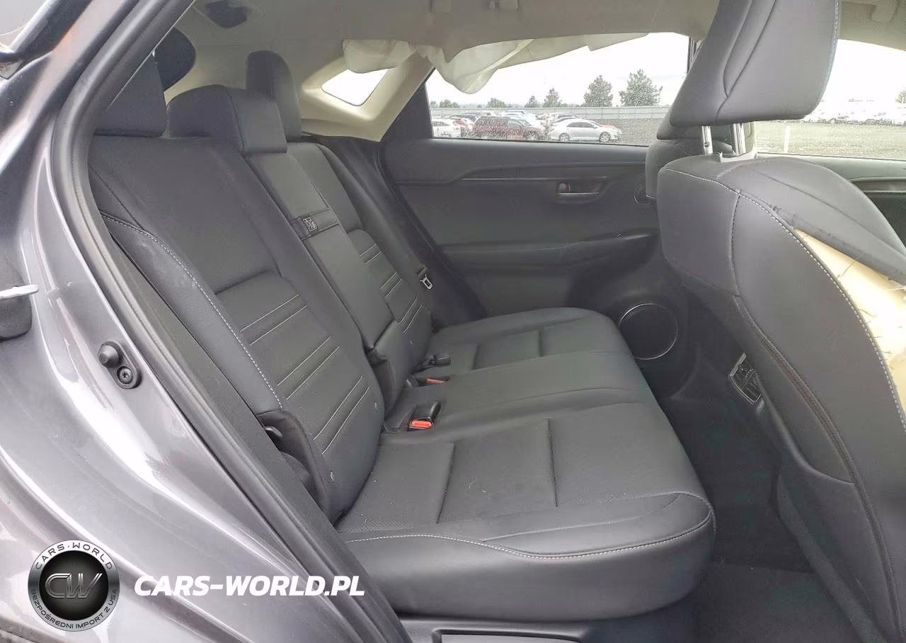 2021 Lexus Nx 300 Base VIN:JTJGARDZ2M2244670 - 11