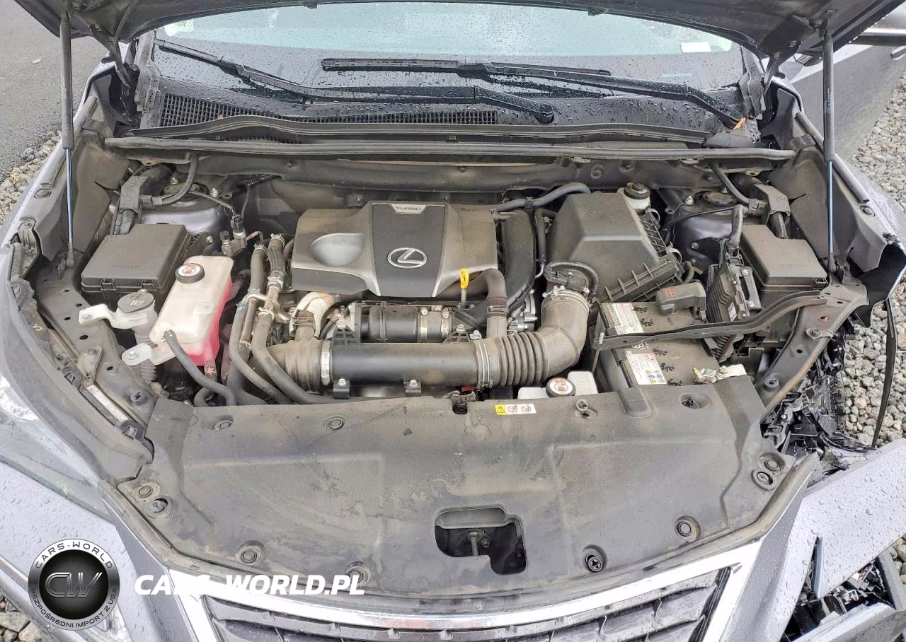 2021 Lexus Nx 300 Base VIN:JTJGARDZ2M2244670 - 12