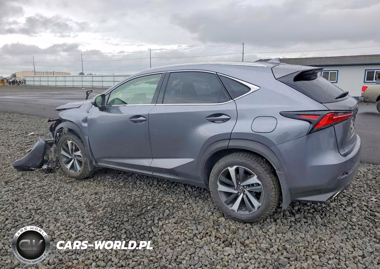 2021 Lexus Nx 300 Base VIN:JTJGARDZ2M2244670 - 2