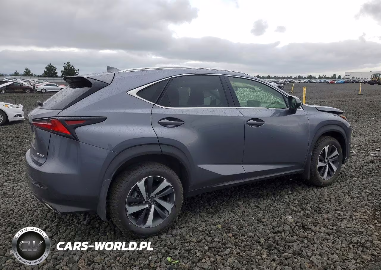2021 Lexus Nx 300 Base VIN:JTJGARDZ2M2244670 - 3