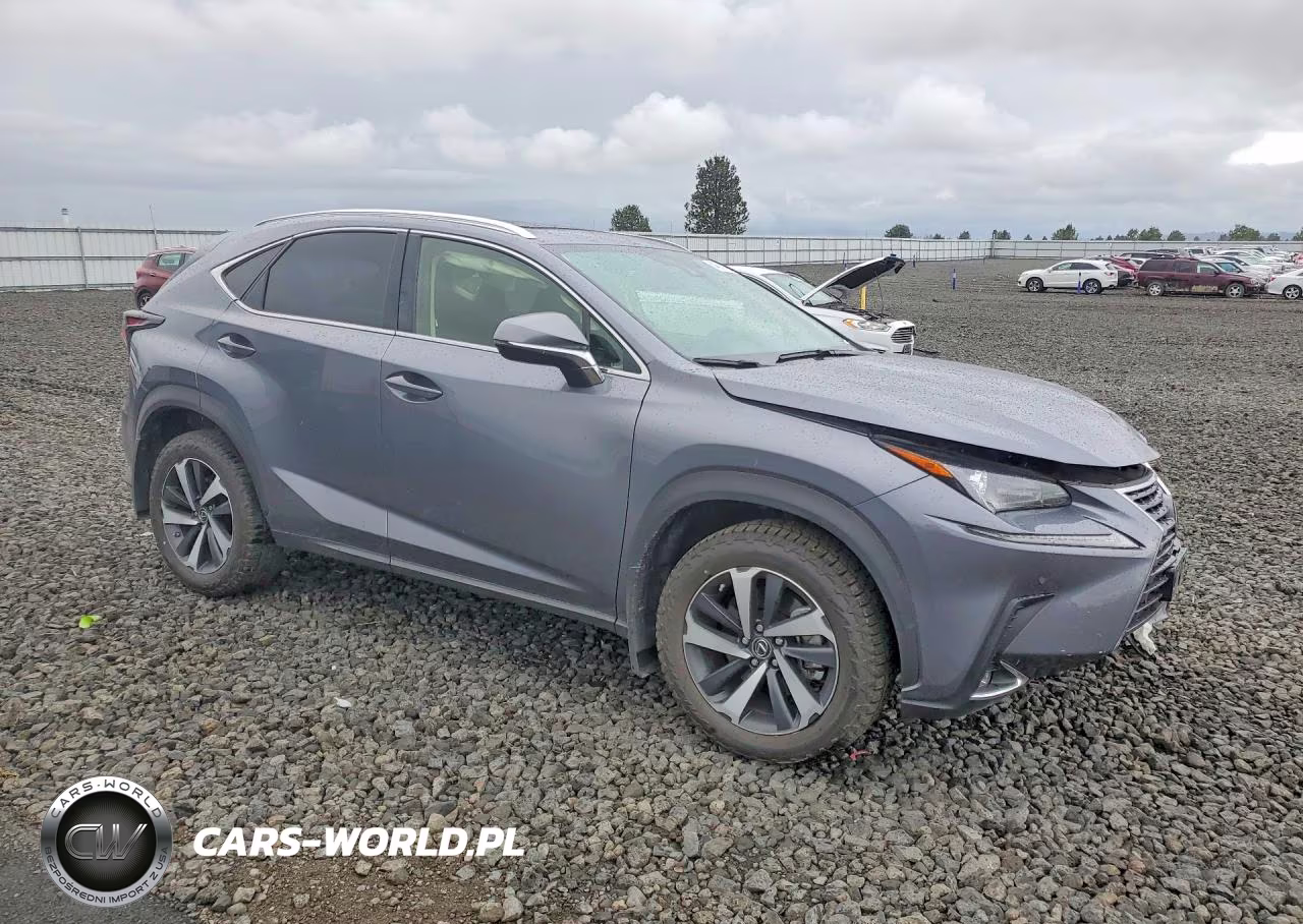 2021 Lexus Nx 300 Base VIN:JTJGARDZ2M2244670 - 4