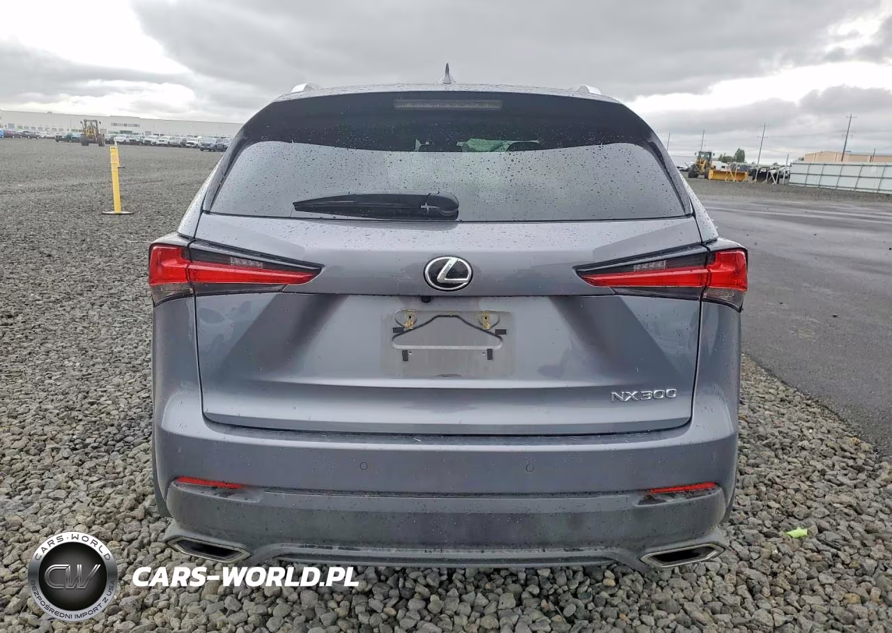 2021 Lexus Nx 300 Base VIN:JTJGARDZ2M2244670 - 6