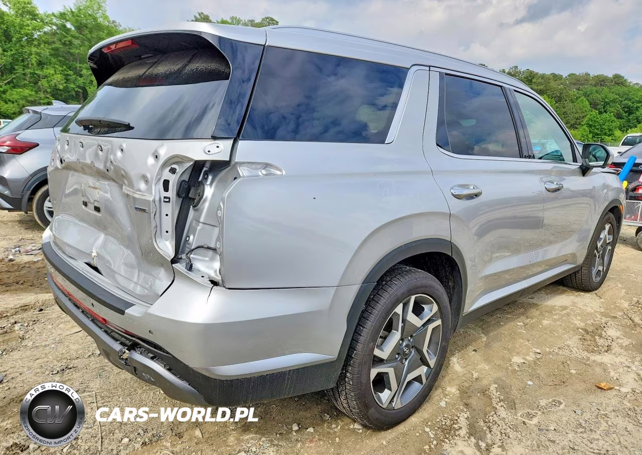 2024 Hyundai Palisade Sel Premium VIN:KM8R4DGE7RU782318 - 3