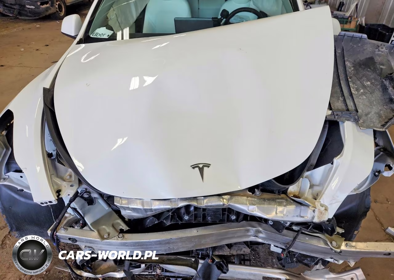 2021 Tesla Model Y VIN:5YJYGDEE6MF246682 - 12