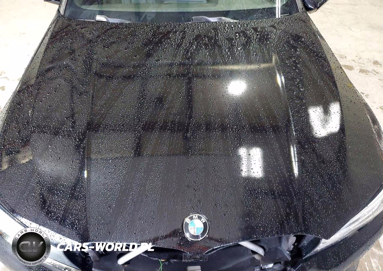 2019 BMW 330I VIN:WBA5R1C54KAK11334 - 11