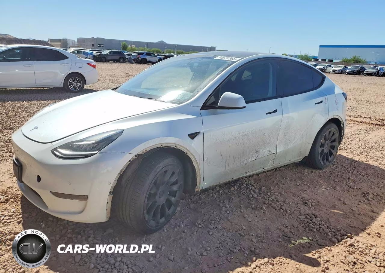 2020 Tesla Model Y