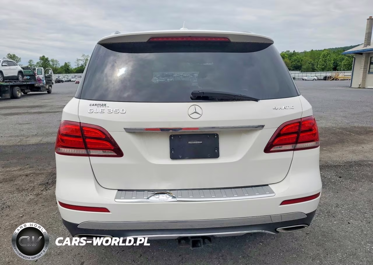 2016 Mercedes-Benz Gle 350 4Matic VIN:4JGDA5HBXGA638841 - 6