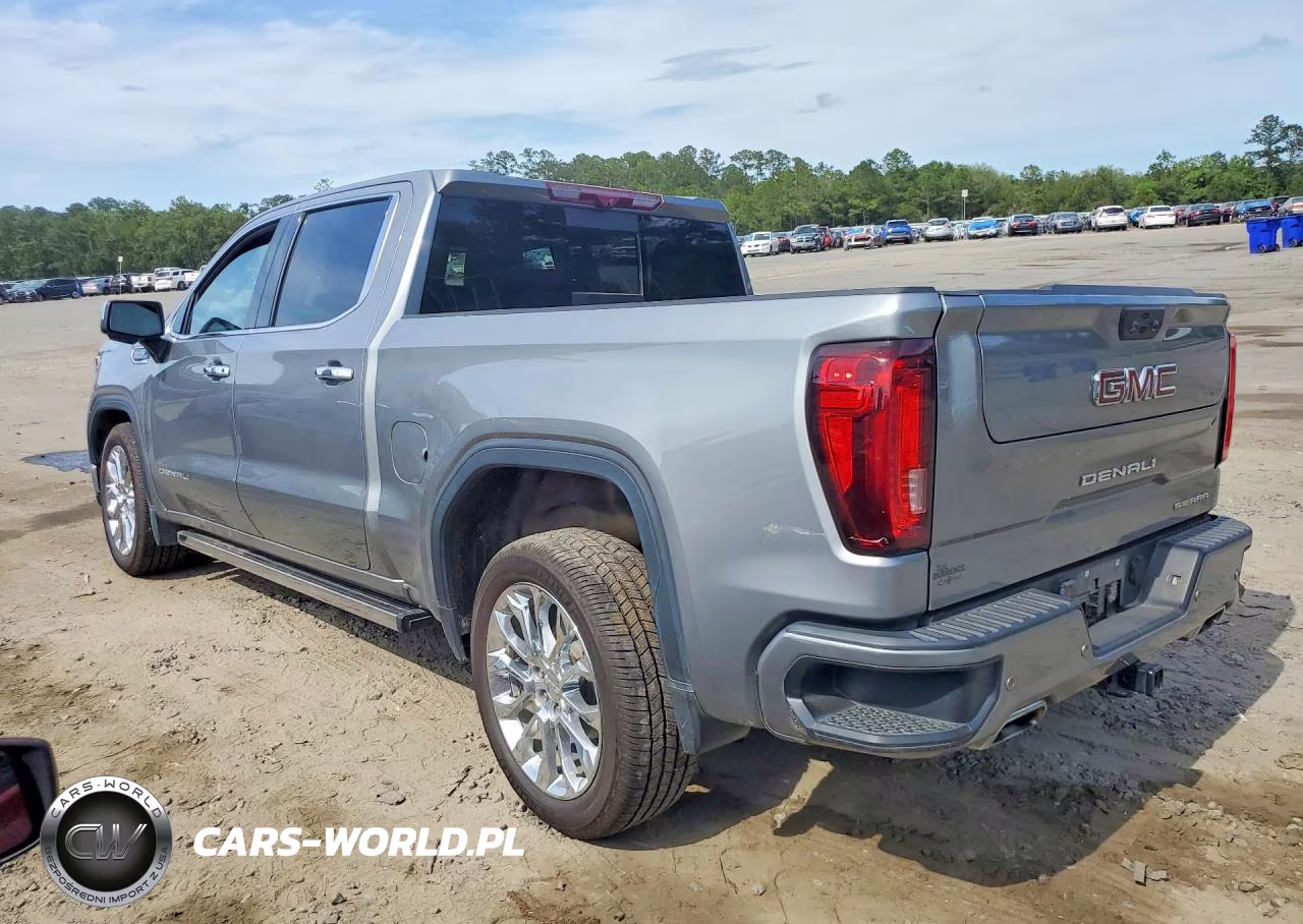 2023 GMC Sierra C1500 Denali VIN:3GTPHGED6PG249582 - 2