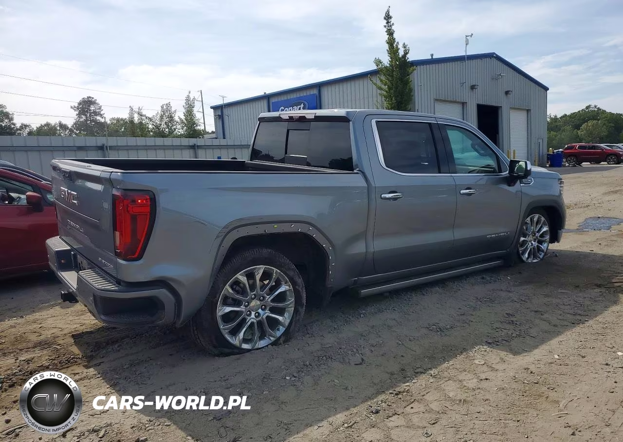 2023 GMC Sierra C1500 Denali VIN:3GTPHGED6PG249582 - 3