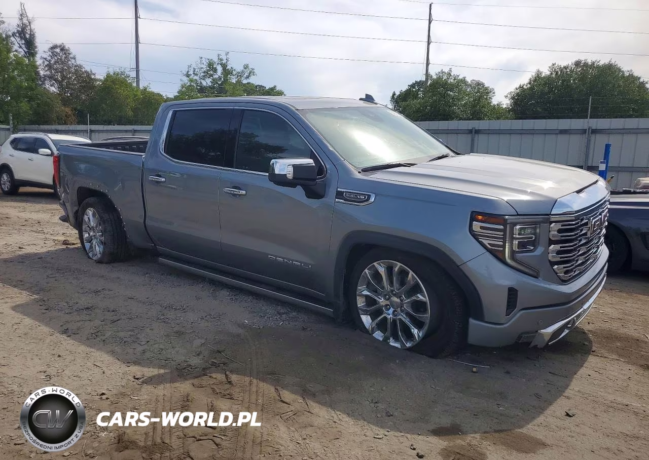 2023 GMC Sierra C1500 Denali VIN:3GTPHGED6PG249582 - 4