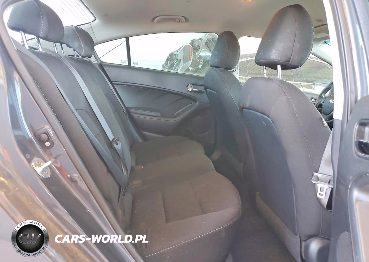 2016 Kia Forte Lx VIN:KNAFK4A61G5536139 - 10