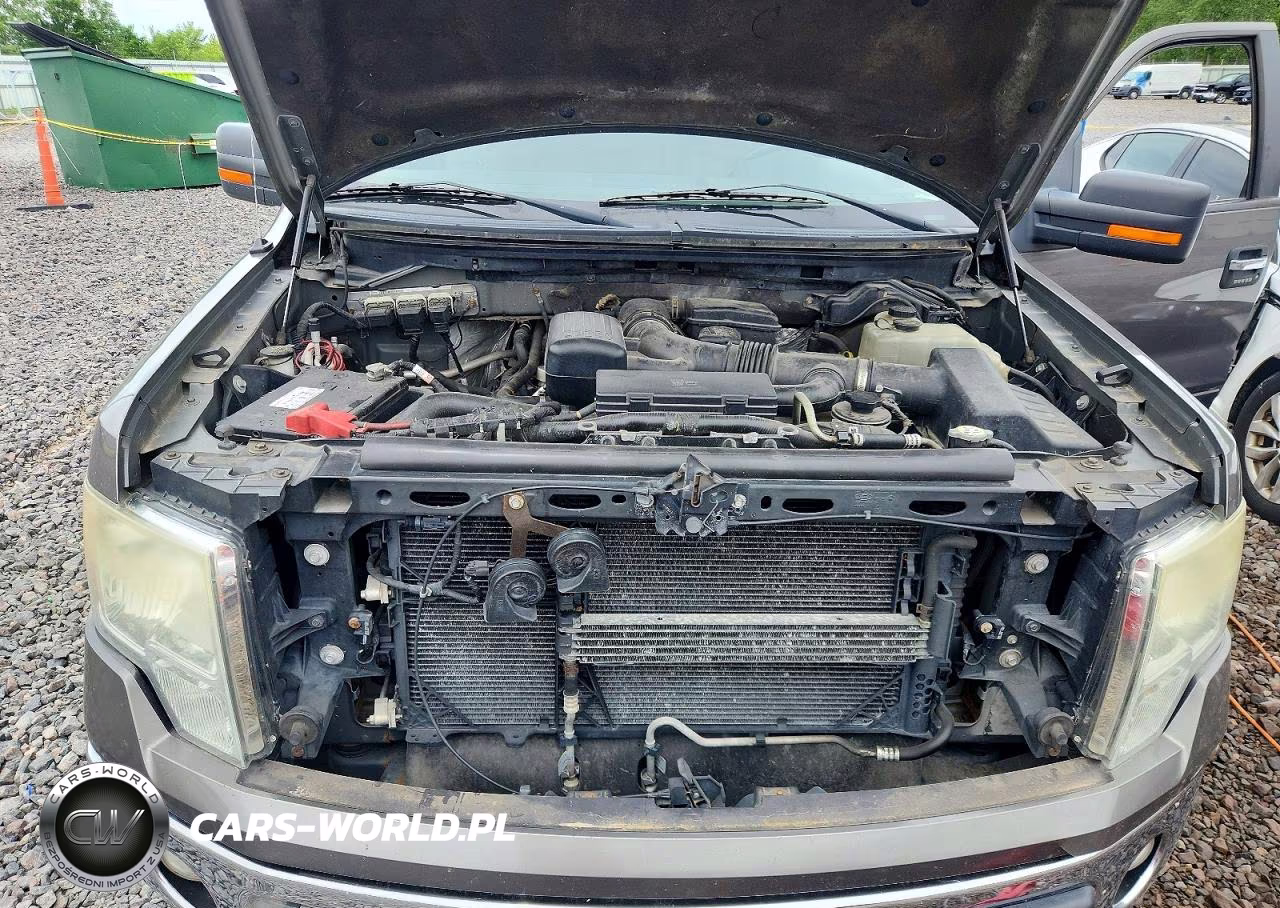 2010 Ford F150 Supercrew VIN:1FTFW1EV4AFC24924 - 11