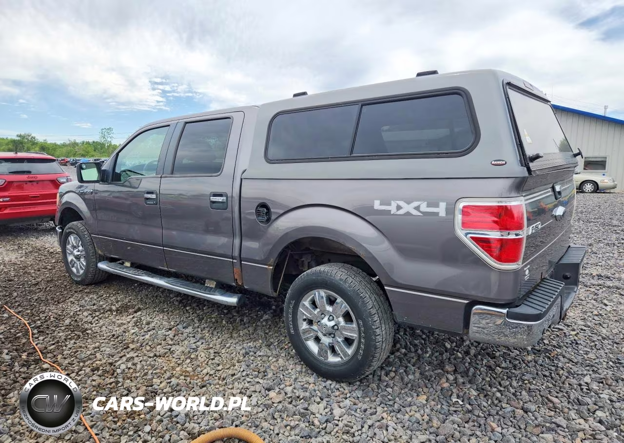 2010 Ford F150 Supercrew VIN:1FTFW1EV4AFC24924 - 2