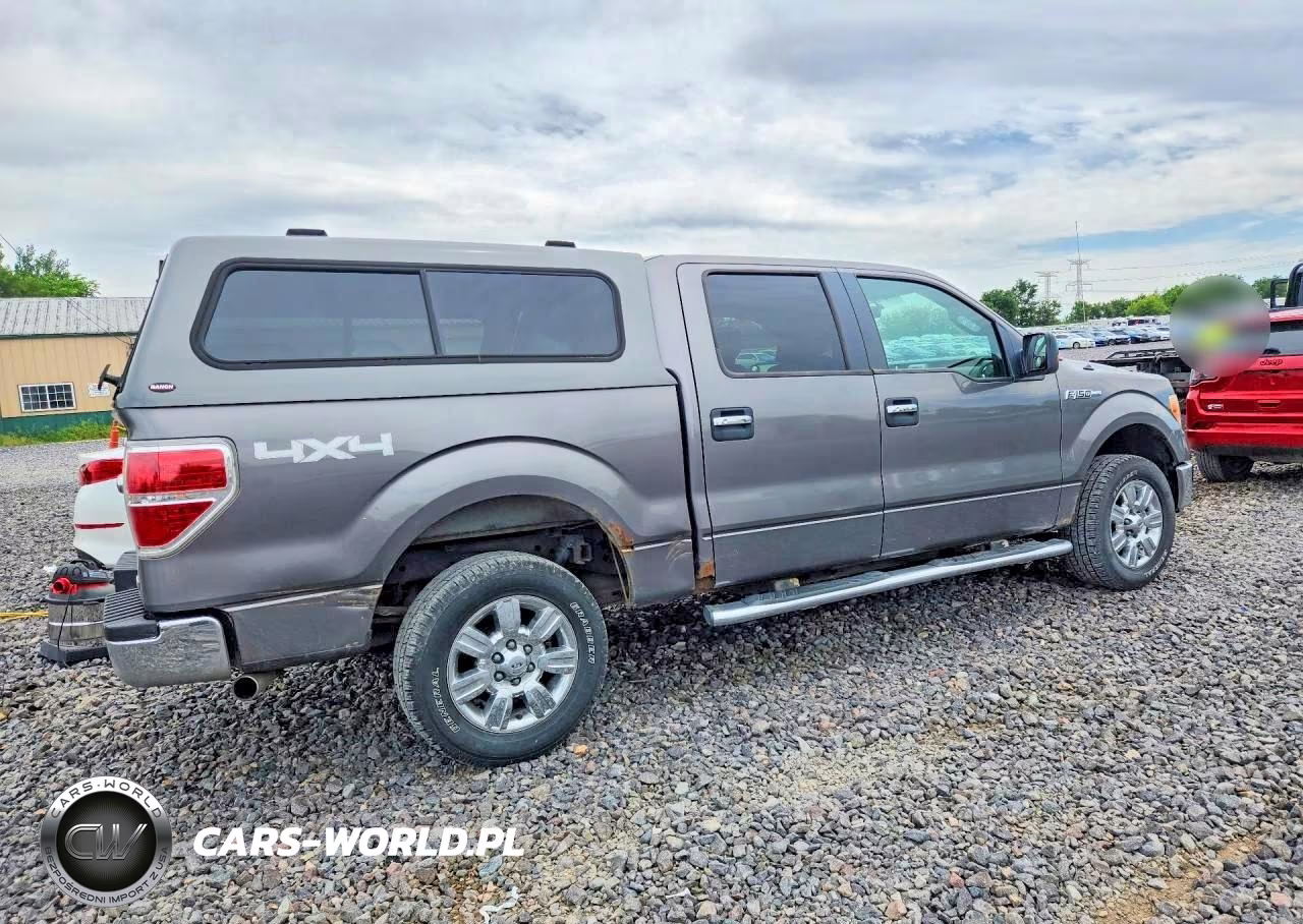 2010 Ford F150 Supercrew VIN:1FTFW1EV4AFC24924 - 3