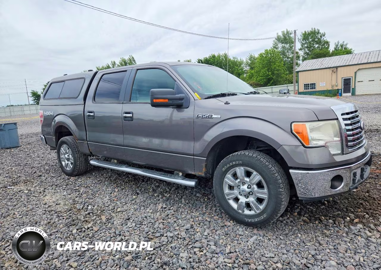 2010 Ford F150 Supercrew VIN:1FTFW1EV4AFC24924 - 4