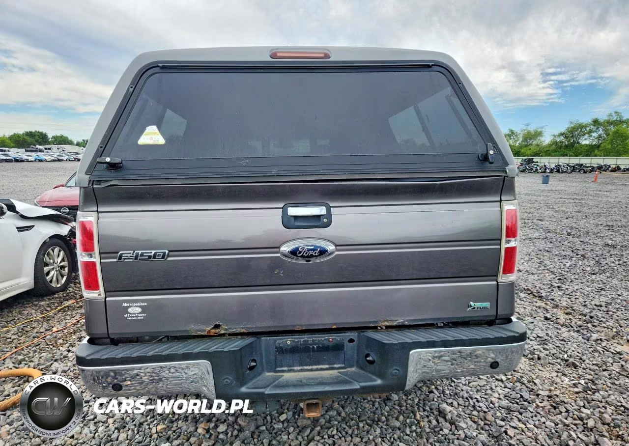 2010 Ford F150 Supercrew VIN:1FTFW1EV4AFC24924 - 6