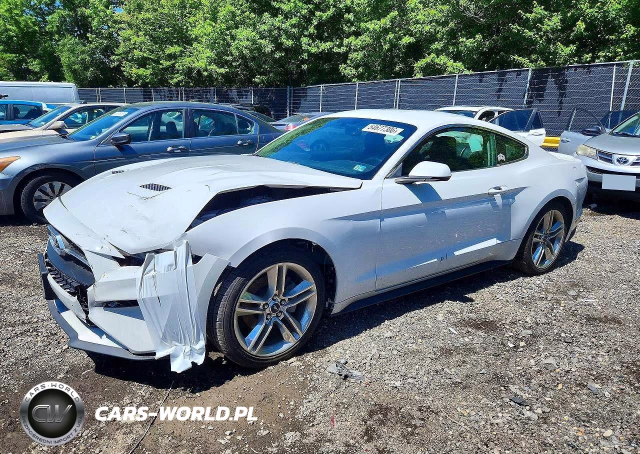 2019 Ford Mustang – zdjęcie 1 z 12