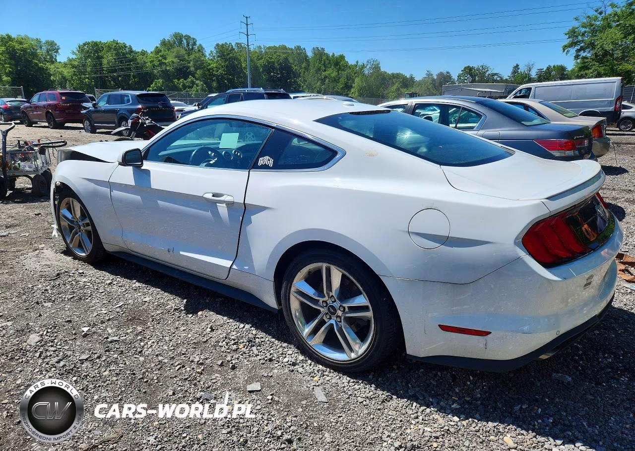 2019 Ford Mustang VIN:1FA6P8TH3K5185095 - 2