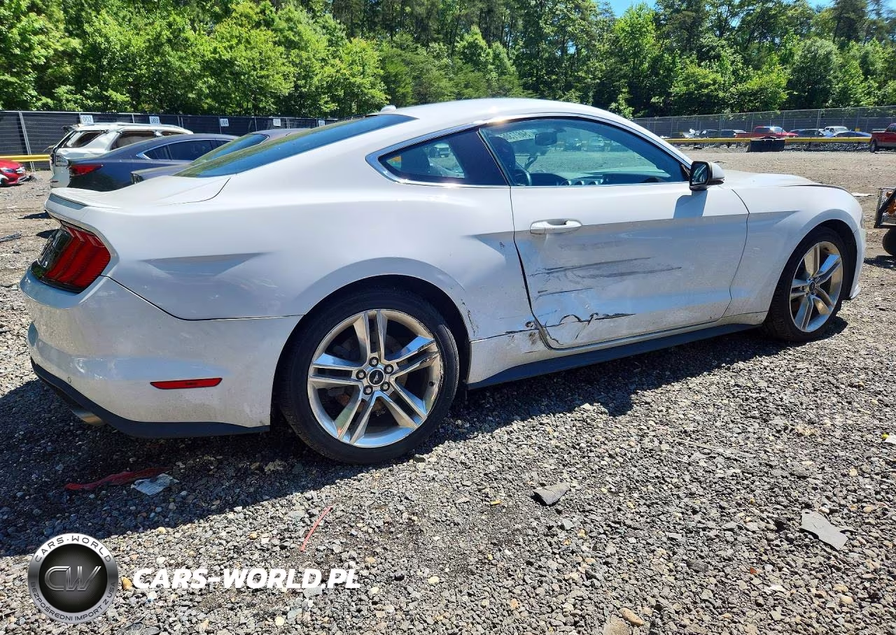 2019 Ford Mustang VIN:1FA6P8TH3K5185095 - 3