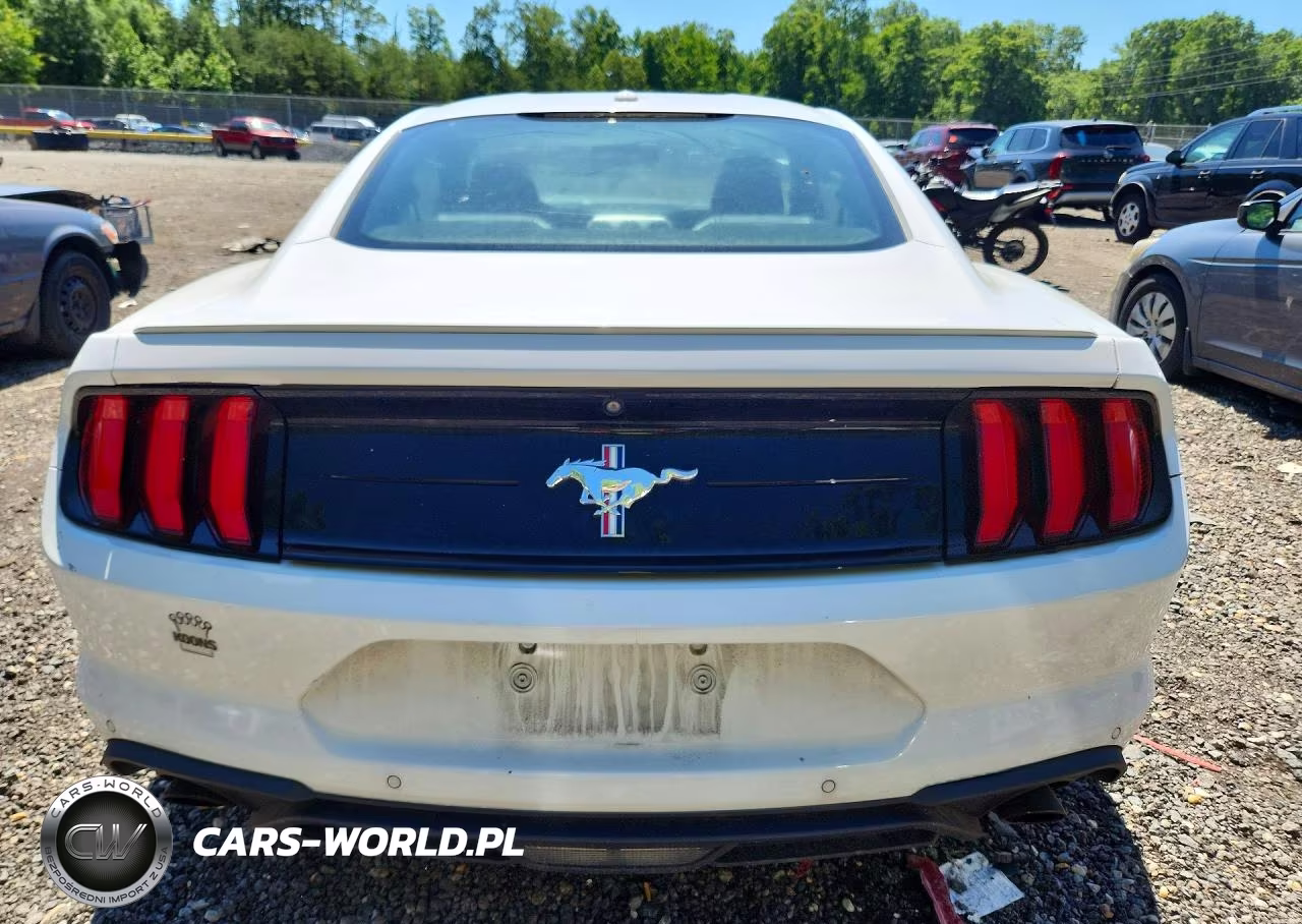 2019 Ford Mustang VIN:1FA6P8TH3K5185095 - 6