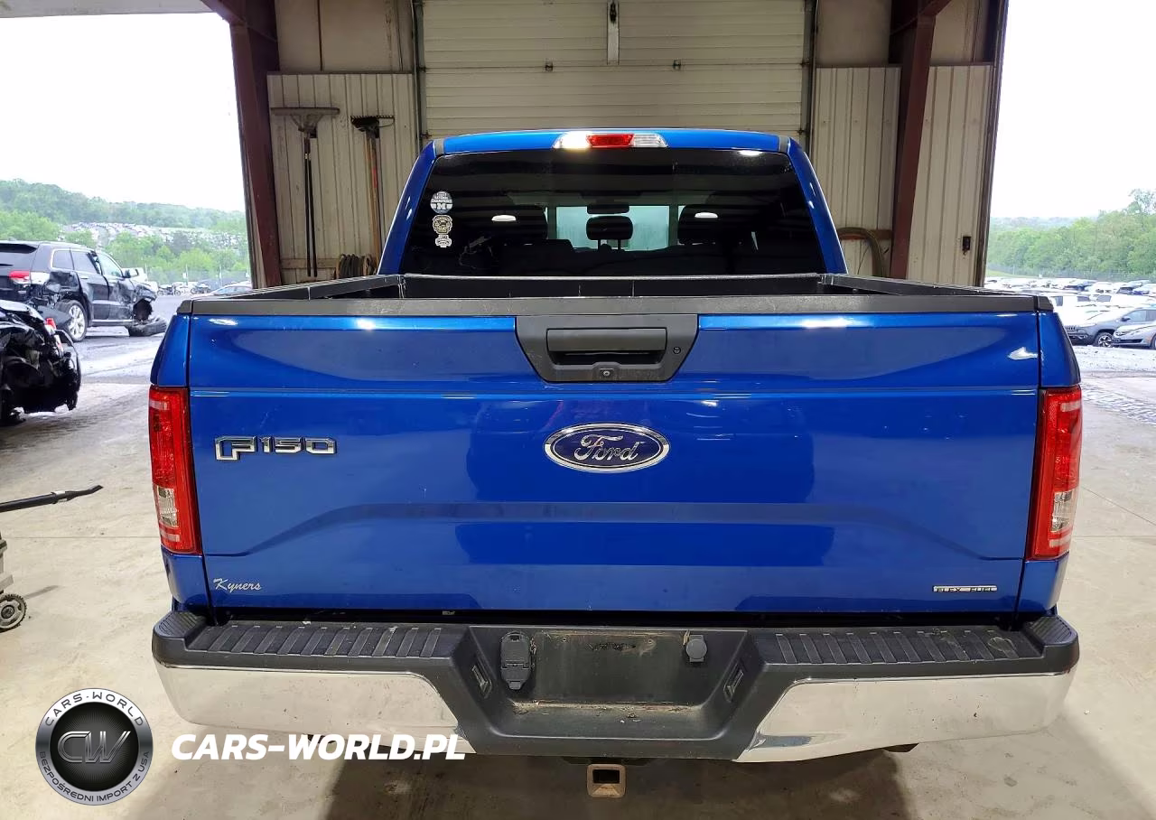 2016 Ford F150 Supercrew VIN:1FTEW1E8XGFC41127 - 6