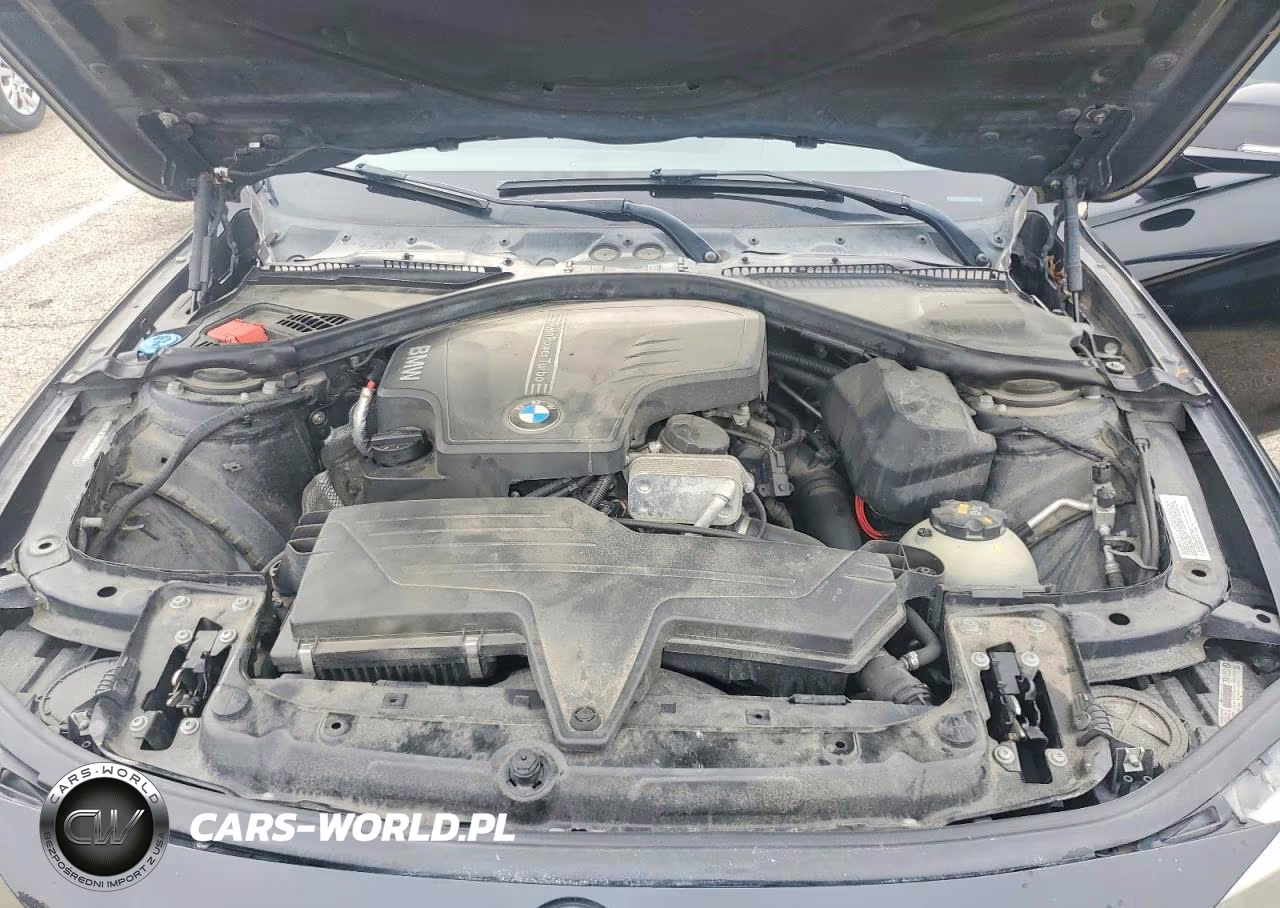 2015 BMW 320 I xDrive VIN:WBA3C3C54FK201164 - 11