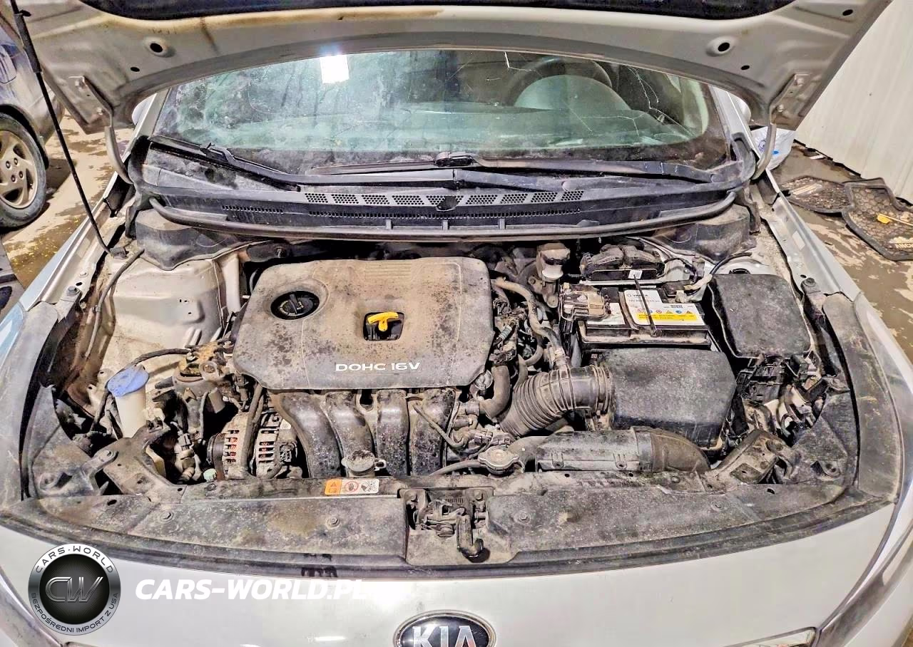 2018 Kia Forte Lx VIN:3KPFK4A77JE209641 - 11