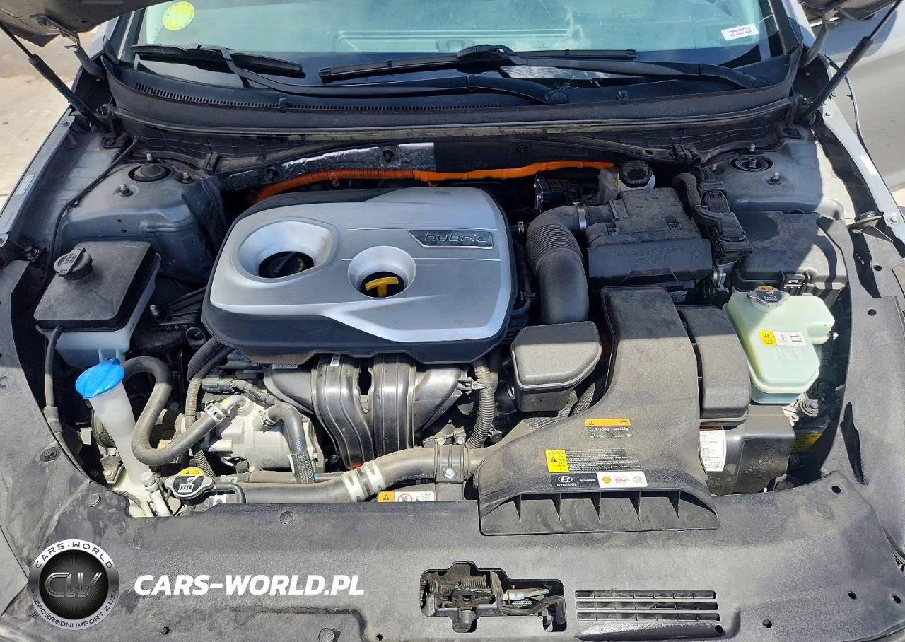 2019 Hyundai Sonata Hybrid Se VIN:KMHE24L39KA093509 - 11
