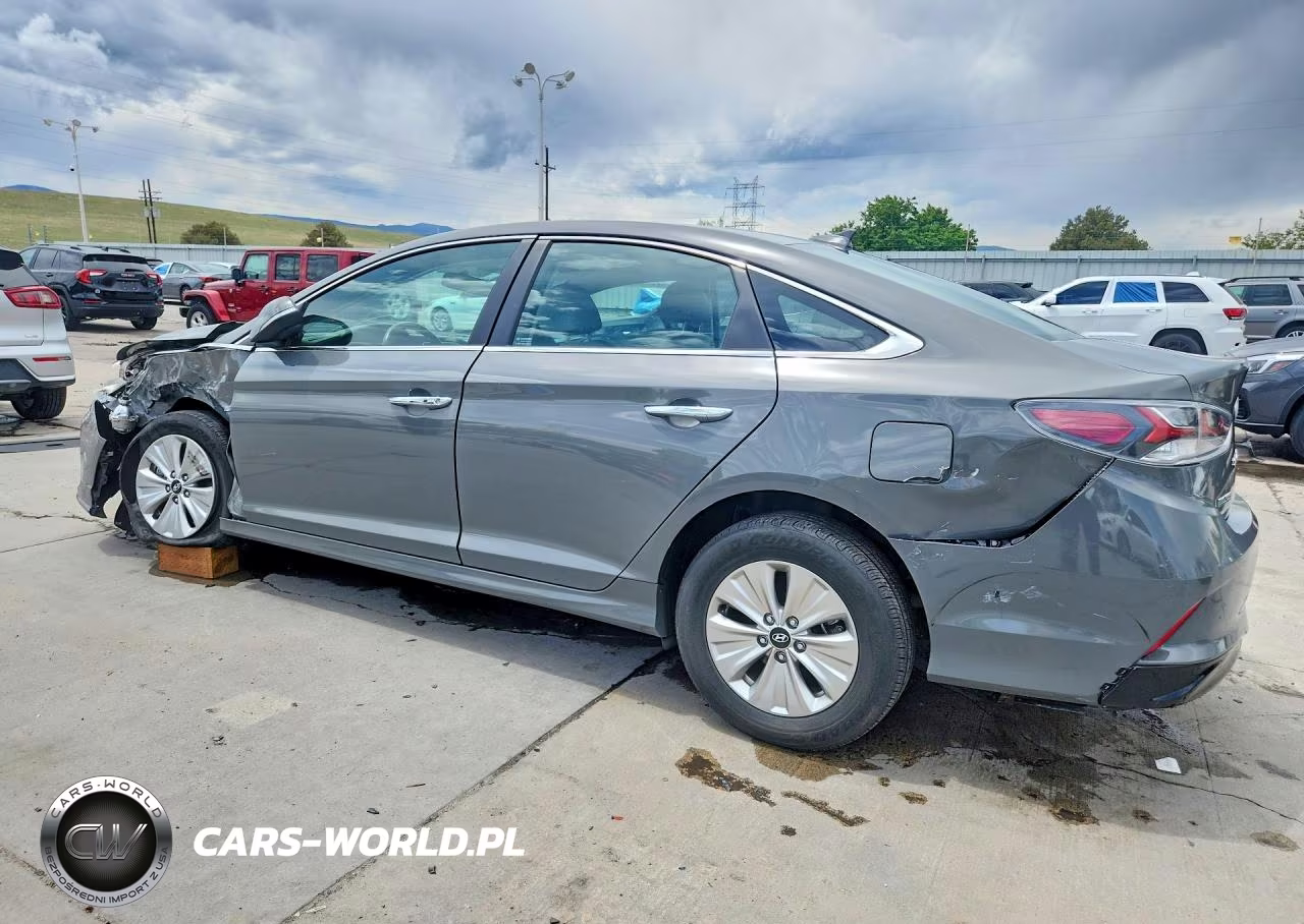 2019 Hyundai Sonata Hybrid Se VIN:KMHE24L39KA093509 - 2
