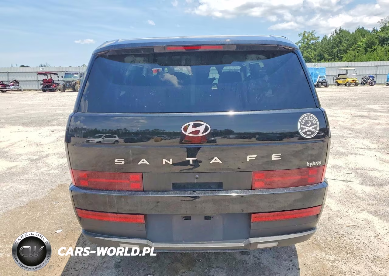 2024 Hyundai Santa Fe Sel VIN:5NMP24G15RH014844 - 6