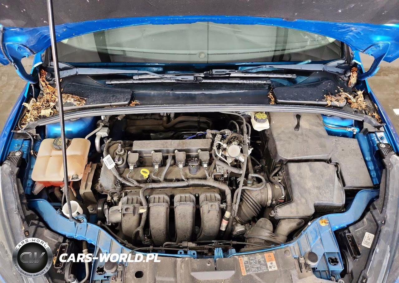 2017 Ford Focus Sel VIN:1FADP3H23HL245007 - 11
