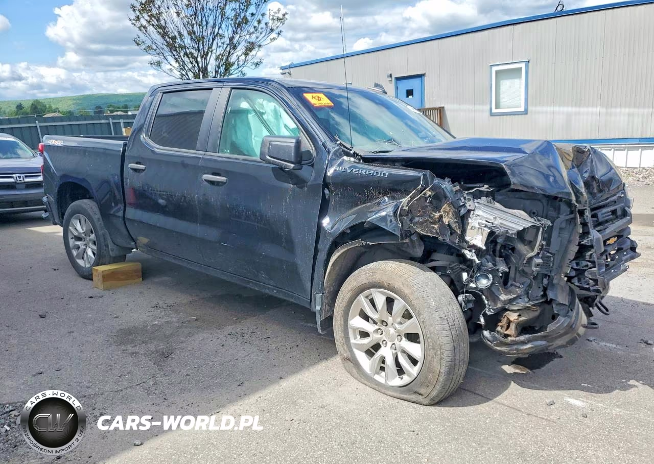 2023 Chevrolet Silverado K1500 Custom VIN:1GCPDBEK9PZ218484 - 4