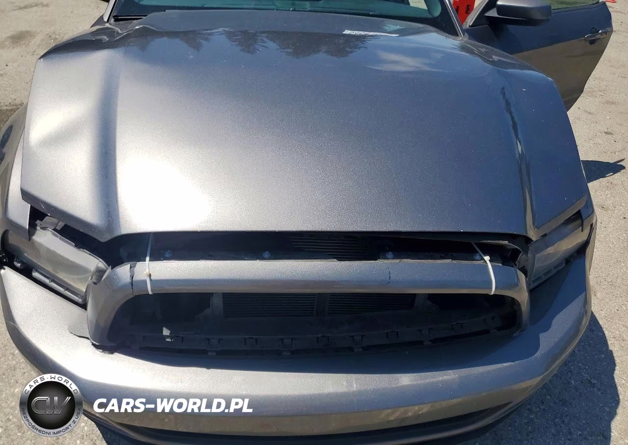 2014 Ford Mustang VIN:1ZVBP8EM3E5311007 - 11