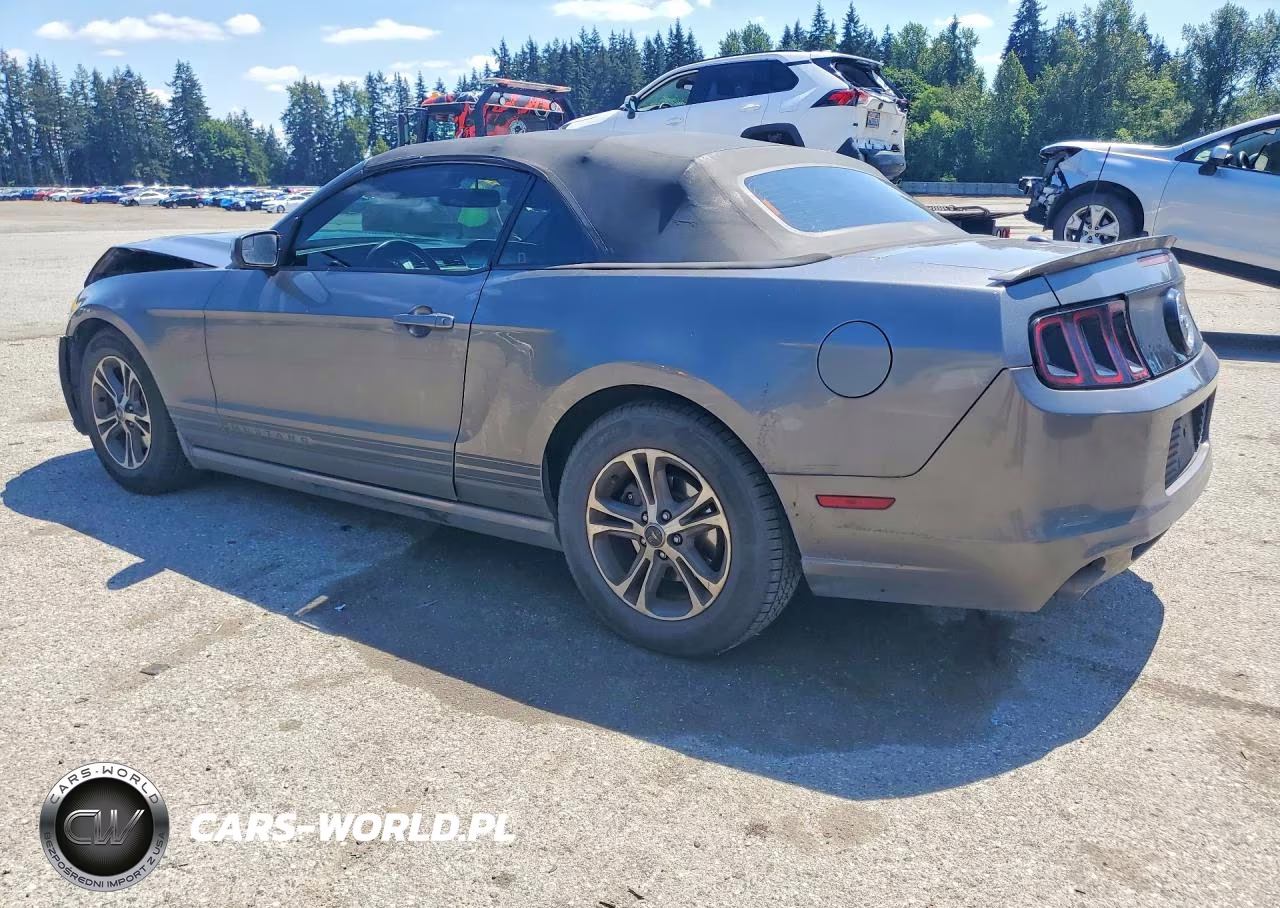 2014 Ford Mustang VIN:1ZVBP8EM3E5311007 - 2
