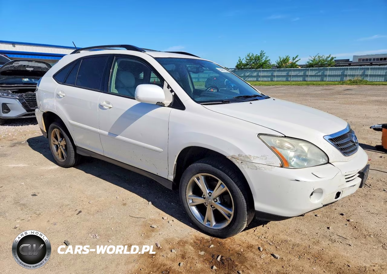 2006 Lexus Rx 400 VIN:JTJHW31U560012560 - 4