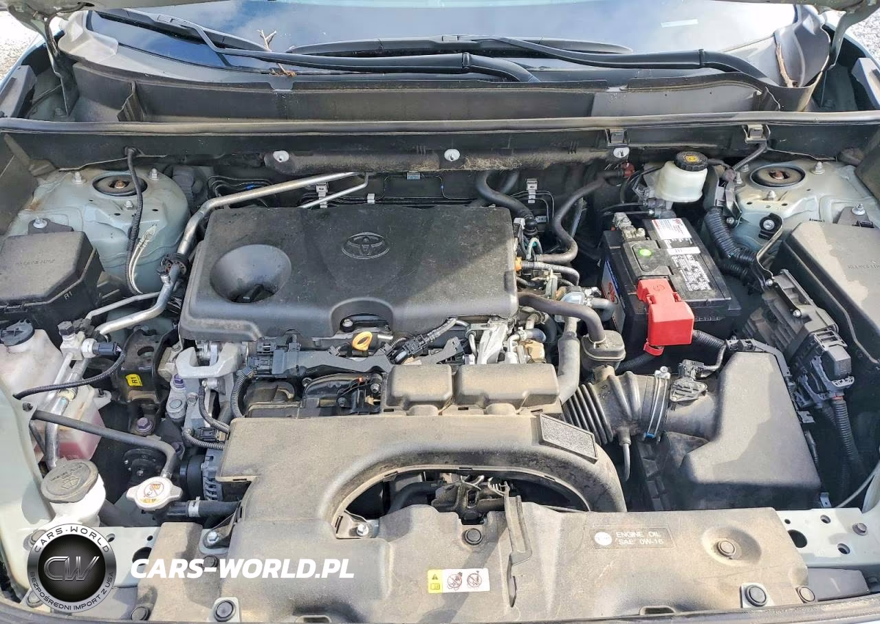 2019 Toyota Rav4 Xle VIN:2T3P1RFV7KW076915 - 11