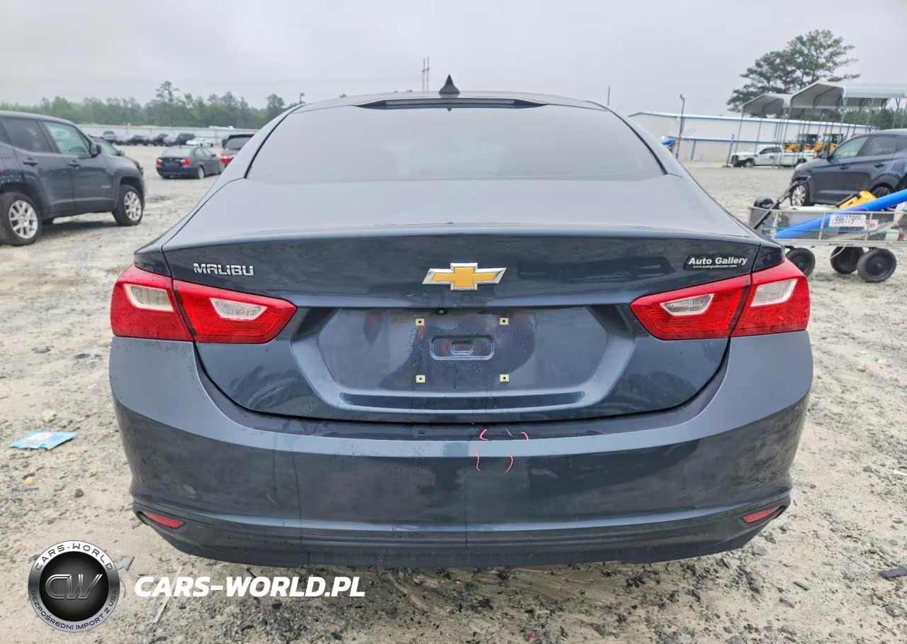 2019 Chevrolet Malibu Ls VIN:1G1ZC5ST7KF214074 - 6