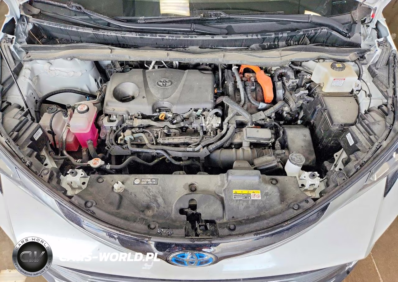 2024 Toyota Sienna Platinum 7-Passenger VIN:5TDESKFC5RS113692 - 12