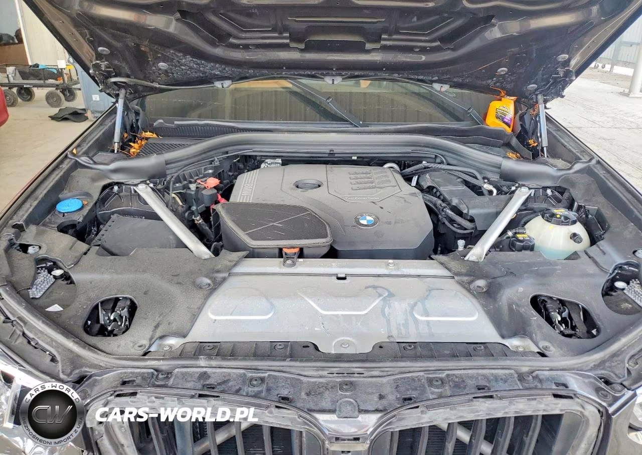 2022 BMW X3 Sdrive30I VIN:5UX43DP00N9L10561 - 12
